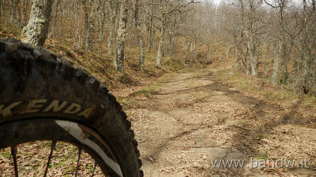 DSCN4490.JPG - Nebrodi - Exploring d'inverno