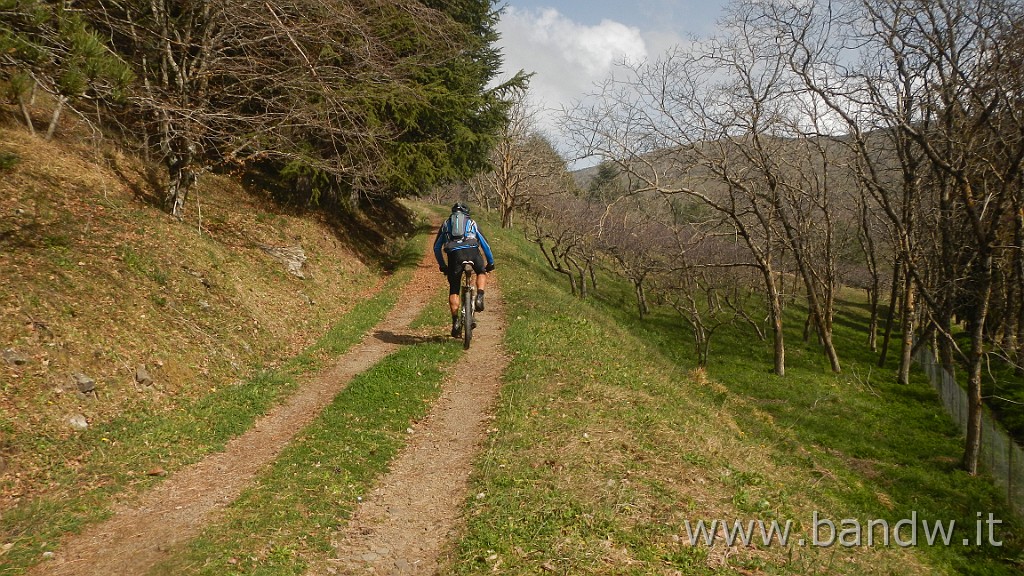 DSCN4514.JPG - Nebrodi - Exploring d'inverno