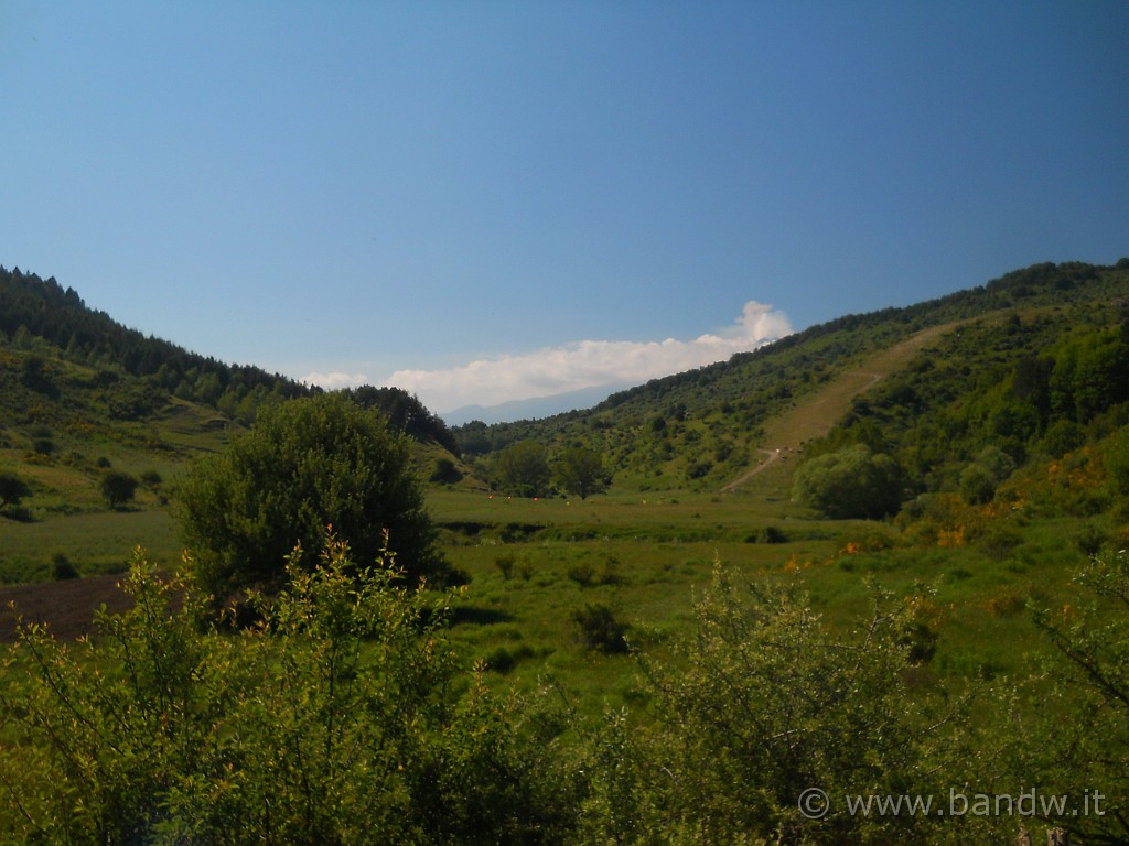 DSCN5105.JPG - Appena dopo la partenza, ci immergiamo subito a contatto con la natura