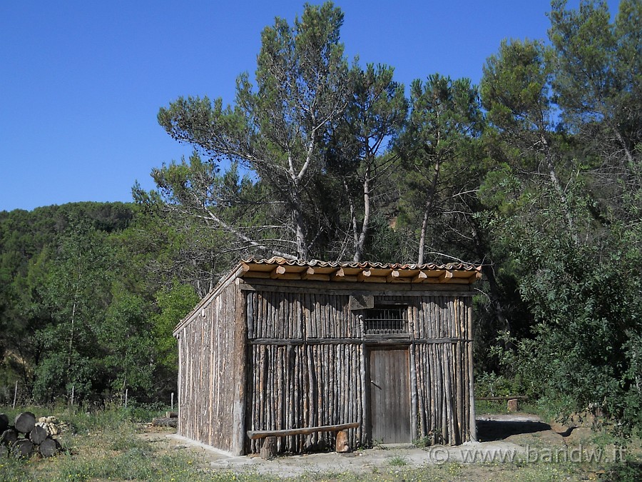 DSCN6173.JPG - Casa Forestale "Pietra Rossa"