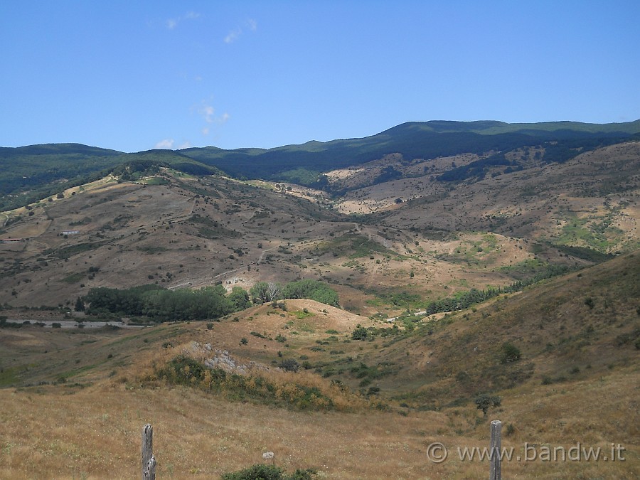 DSCN6202.JPG - Dovevamo pedalare in mezzo a quel verde lasssù in cima, ma le mosche ci hanno fatto desistere!!!!!