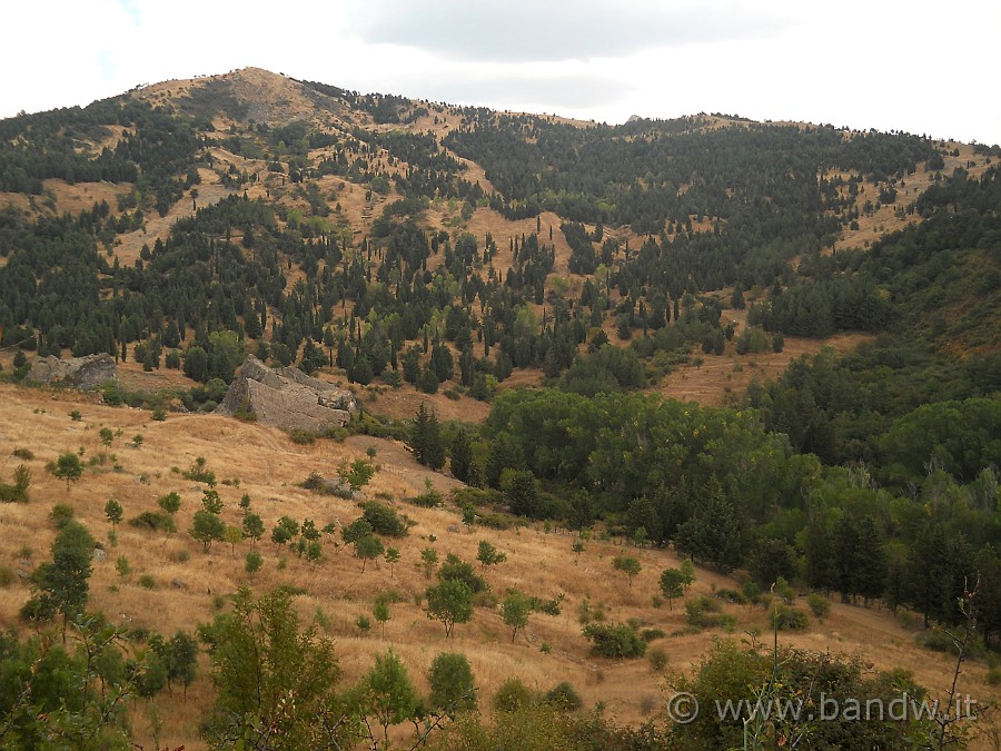 DSCN6212.JPG - Di nuovo sulle "Rocce di Cunnulio"