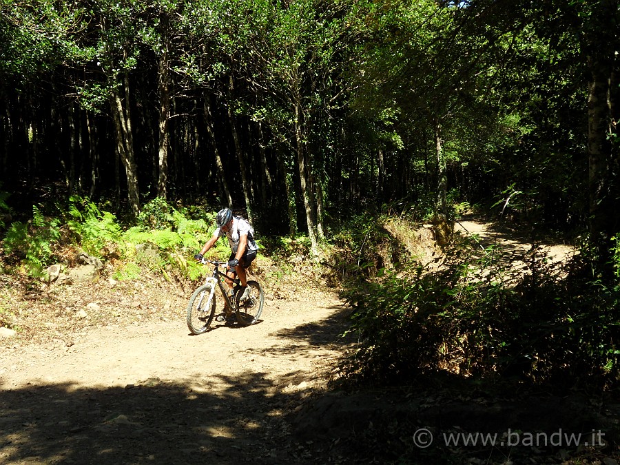 SDC17111.JPG - Io entro in crisi, ho quasi un attacco di panico, inzio ad urlare, per la prima volta odio la MTB.....e vorrei essere al mare!!!!!