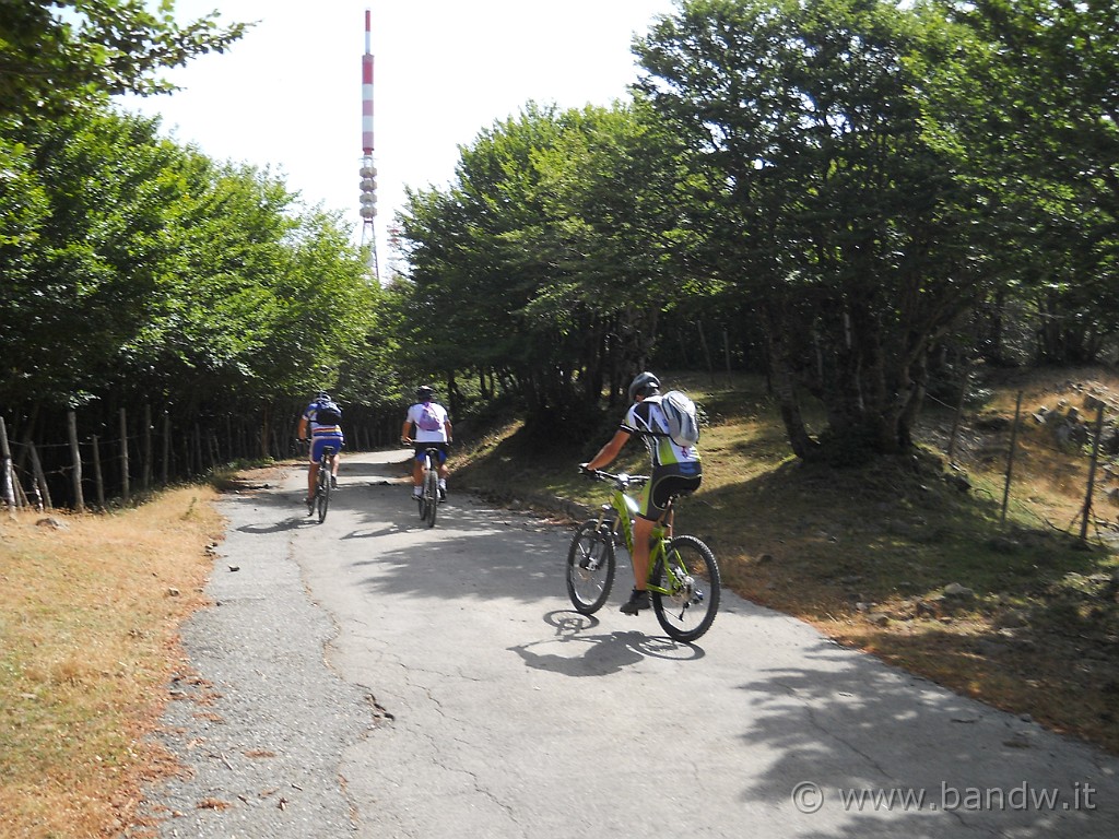 DSCN5658.JPG - Si intravedono le prime antenne