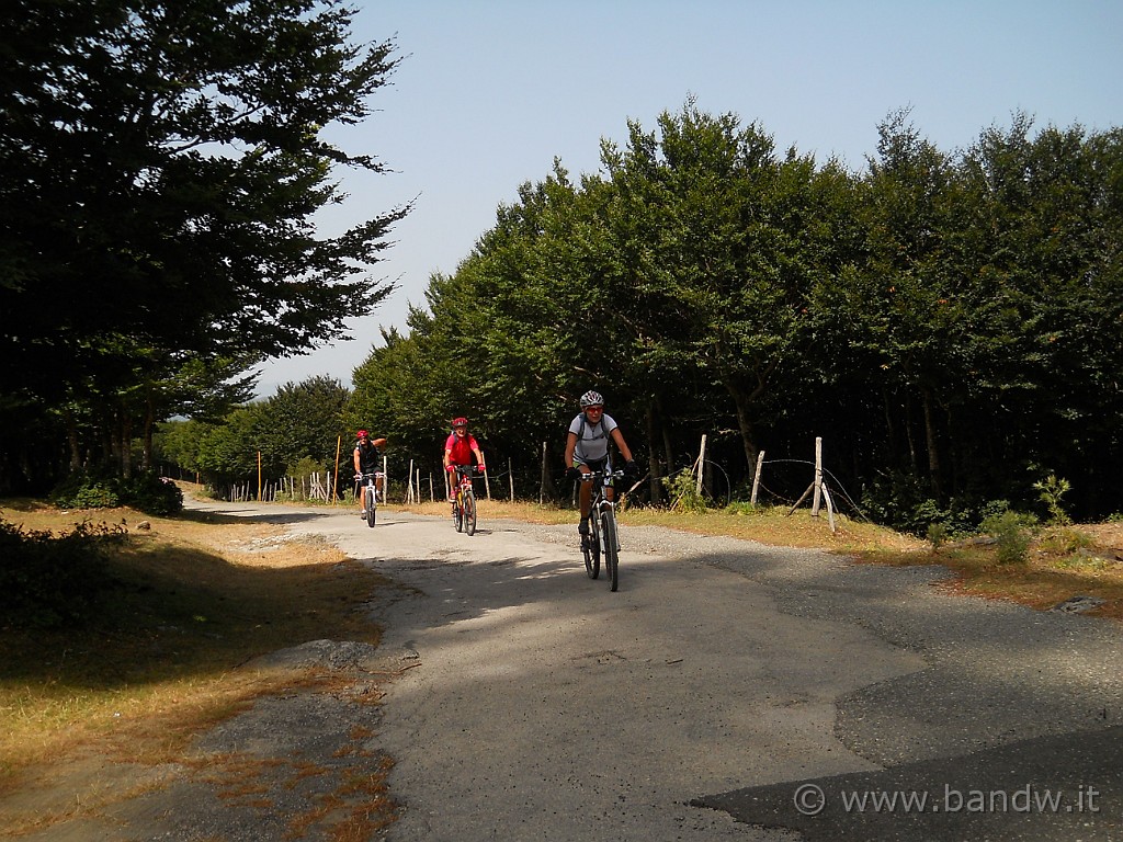 DSCN5662.JPG - Ultime pedalate per arrivare in cima