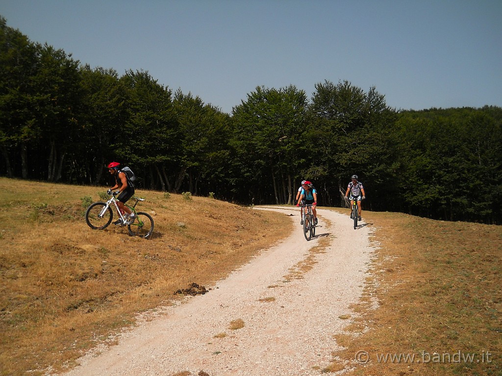 DSCN5681.JPG - .............e c'è chi si dà alla pazza gioia e cerca itinerari diversi