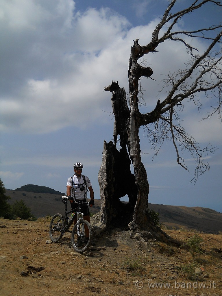 DSCN5728.JPG - Foto ricordo sotto ciò che rimane di un albero