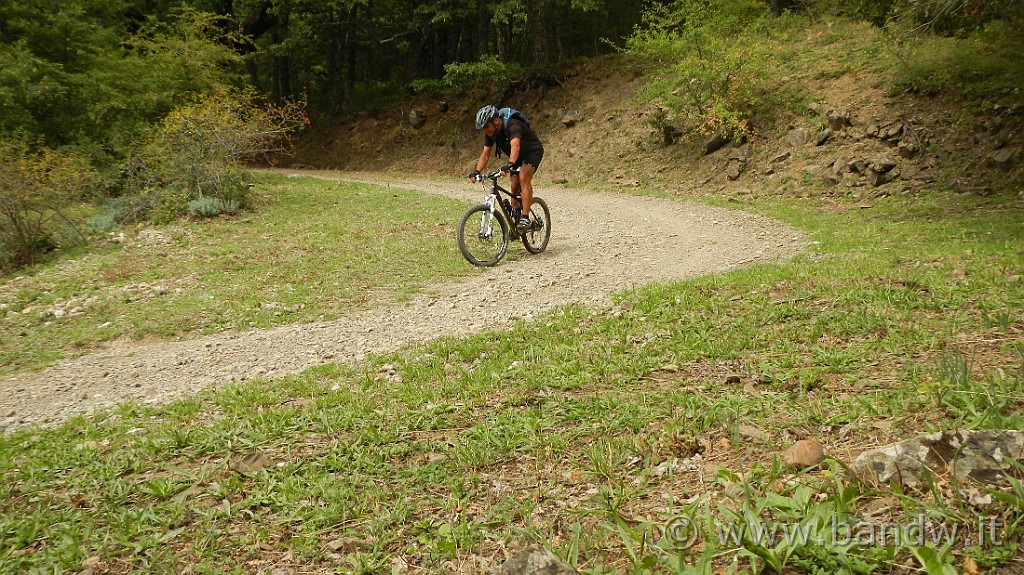 DSCN9651.JPG - Dopo tanta salita, inizia la lunga discesa dal Monte Trearie