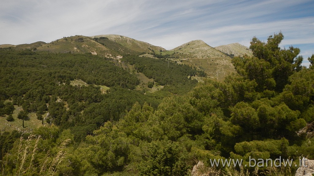 DSCN4731.JPG - Palermo - Tra Mare e Monti