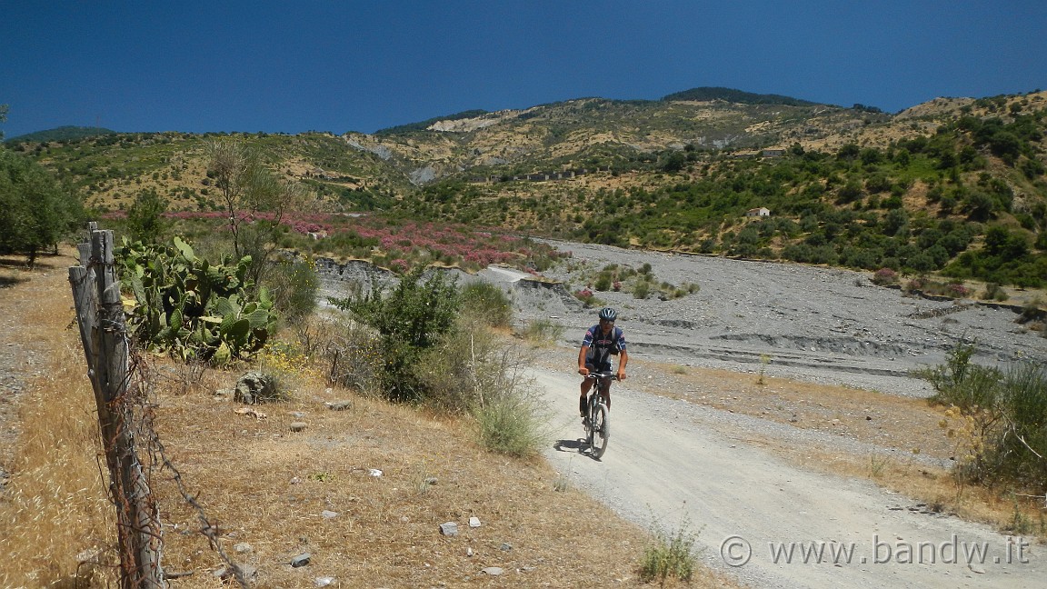 DSCN3506.JPG - Lungo il torrente Zavianni