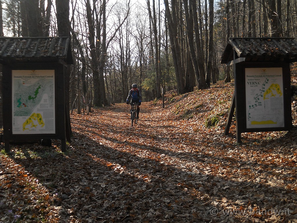 DSCN8562.JPG - L'ingresso del sentiero naturalistico di Monte Vernà