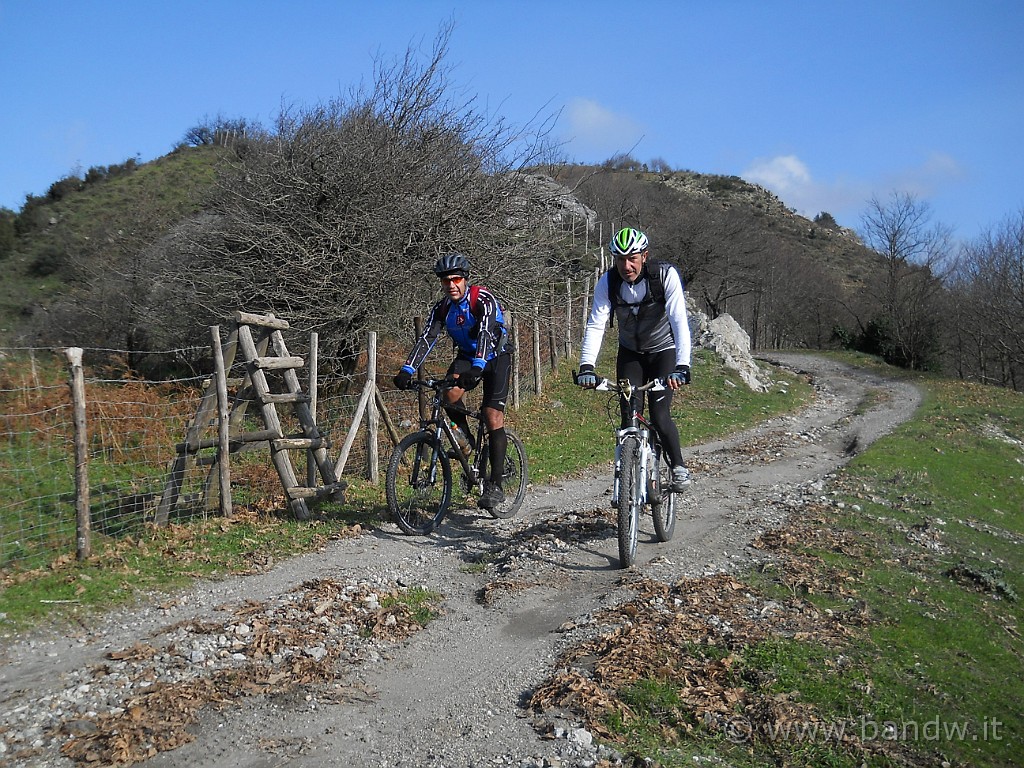 DSCN8571.JPG - Dopo aver laciato Serra Pasaleo, arriviamo sulla dorsale dei Peloritani