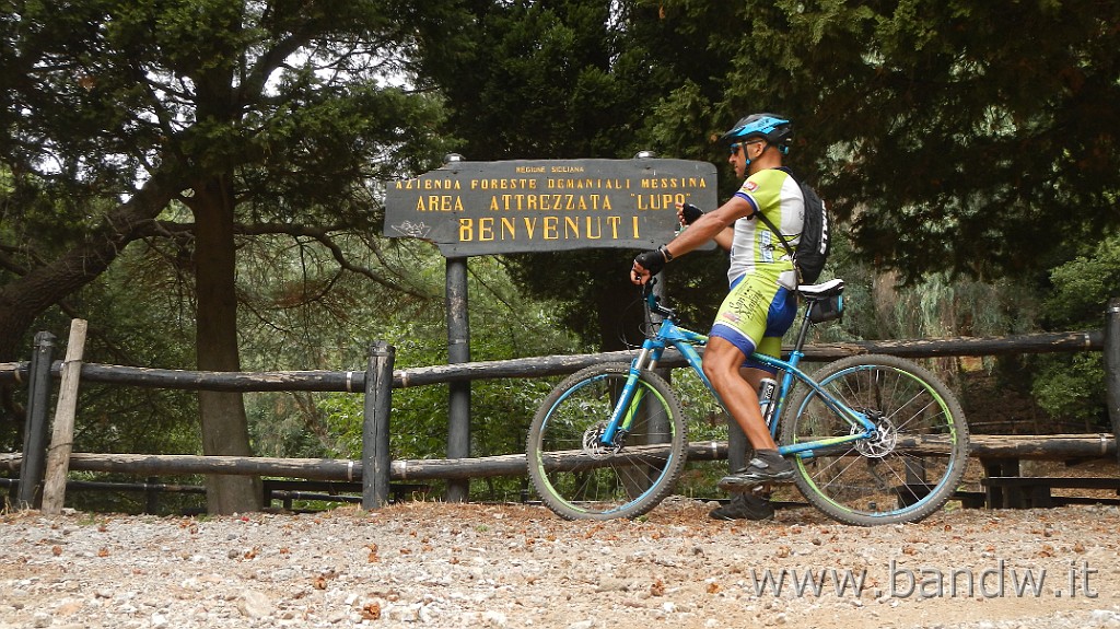 DSCN6810.JPG - Peloritani - Girovagando lungo la dorsale