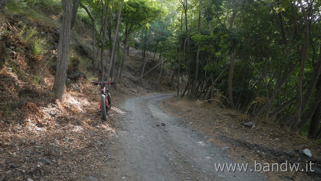 DSCN6590.JPG - Peloritani - Mandanici-Posto Leoni-Pizzo cipolla