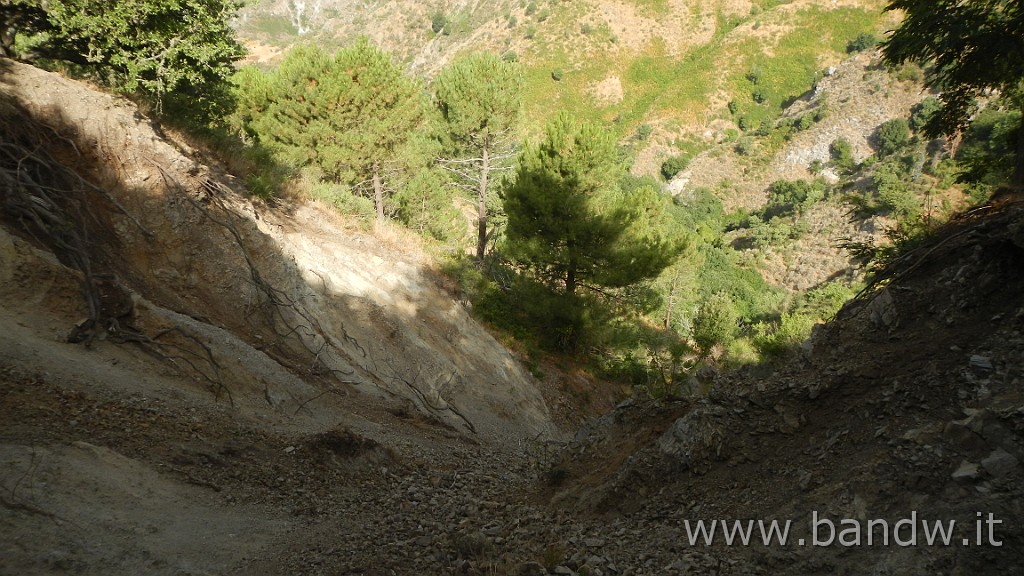 DSCN6601.JPG - Peloritani - Mandanici-Posto Leoni-Pizzo cipolla