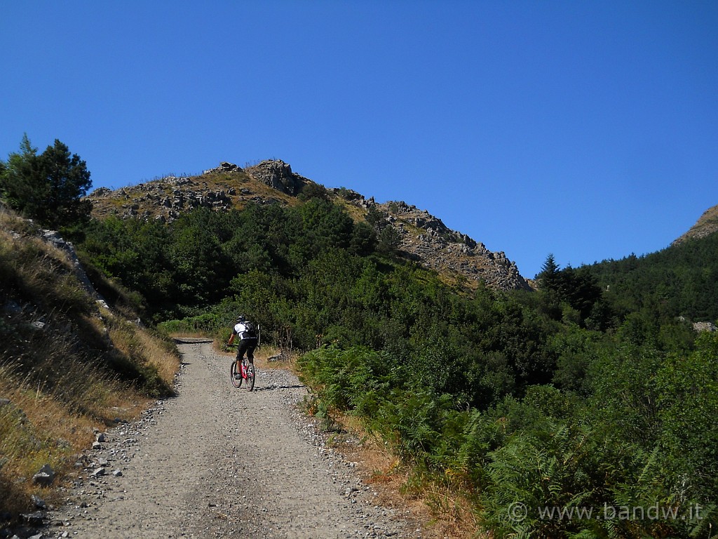 DSCN5791.JPG - Ripartiamo, siamo nuovamente sulla Dorsale dei Peloritani