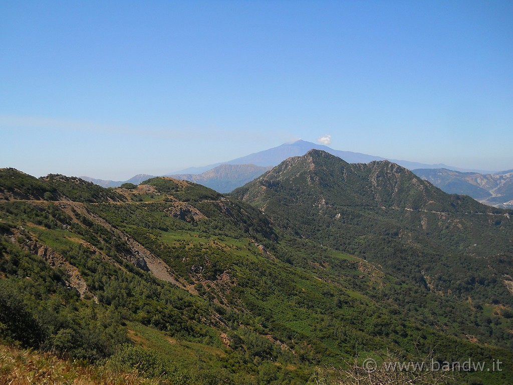 DSCN5797.JPG - Dopo aver scollinato, ecco come deliziamo i nostri occhi, una vera magneficenza