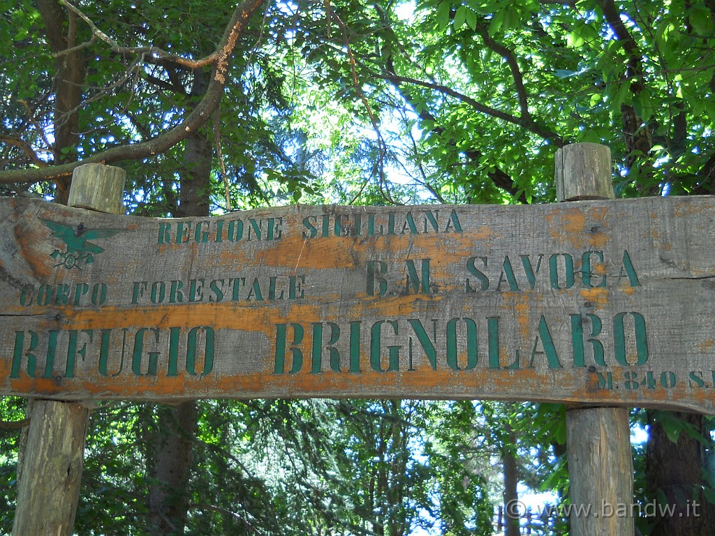 DSCN5798.JPG - Arriviamo nel territorio di Savoco, presso il Rif. Brignolaro, piccola sosta e proseguiamo