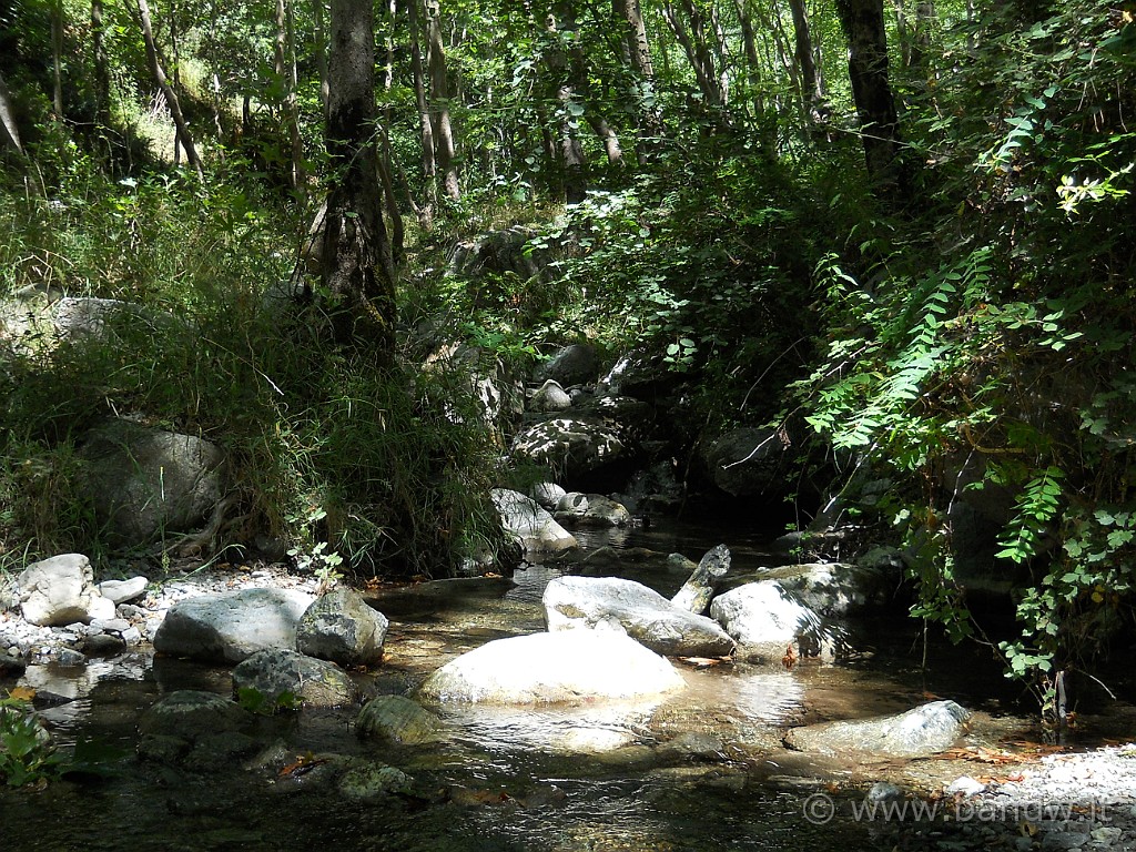 DSCN5811.JPG - Il torrente che guaderemo parecchie volte