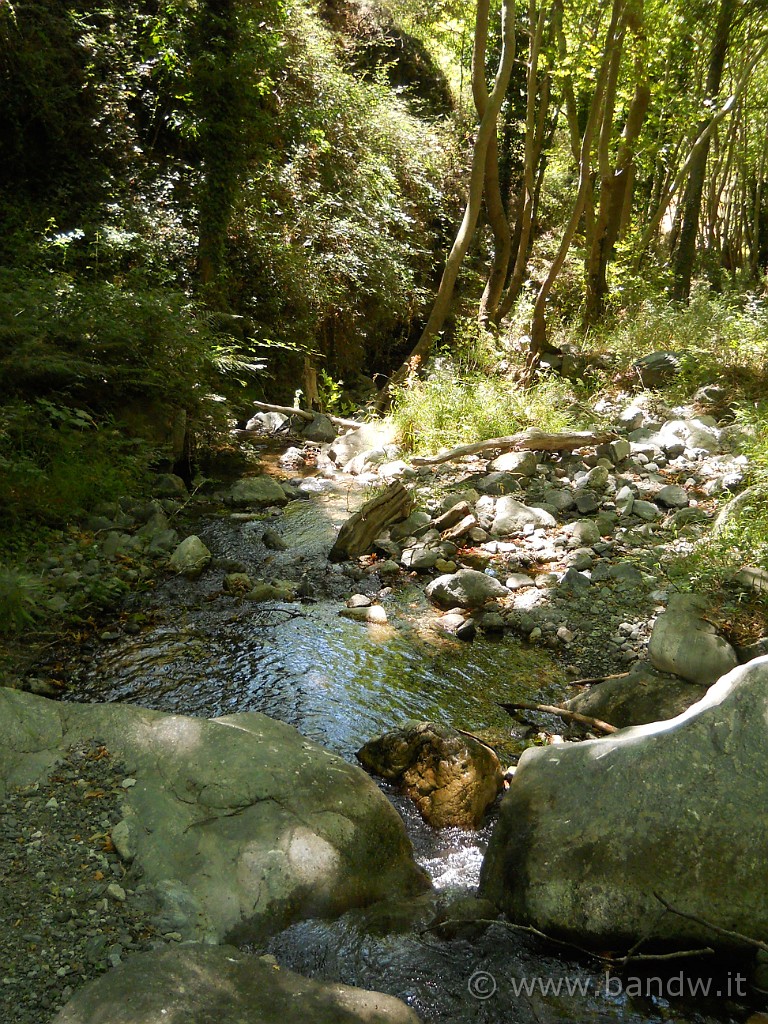 DSCN5812.JPG - Il torrente che guaderemo parecchie volte