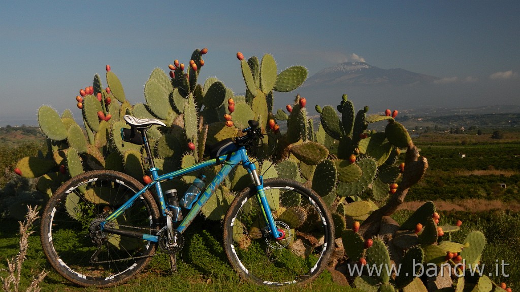 DSCN4114.JPG - Piana di Catania