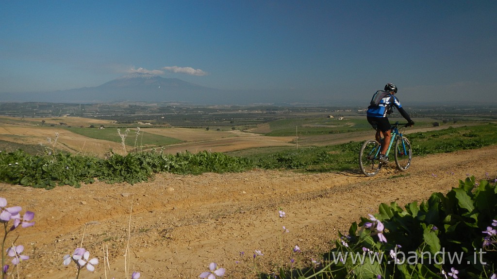 DSCN4119.JPG - Piana di Catania