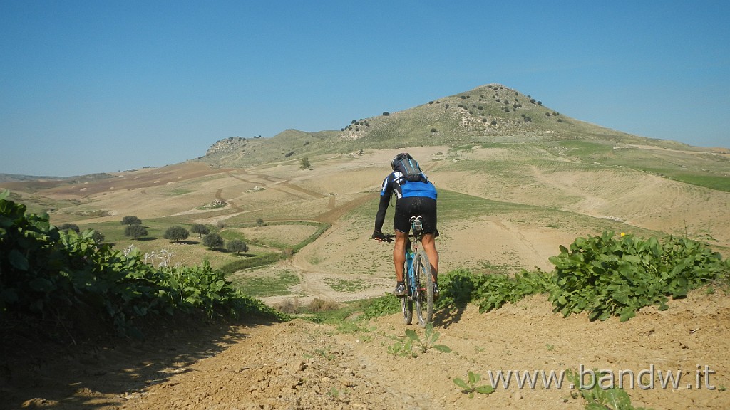 DSCN4121.JPG - Piana di Catania