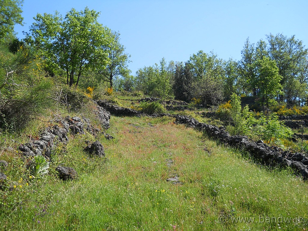 DSCN4607.JPG - Lasciato l'asfalto di Via Dagalone a Zafferana, proseguo lungo questo sentiero