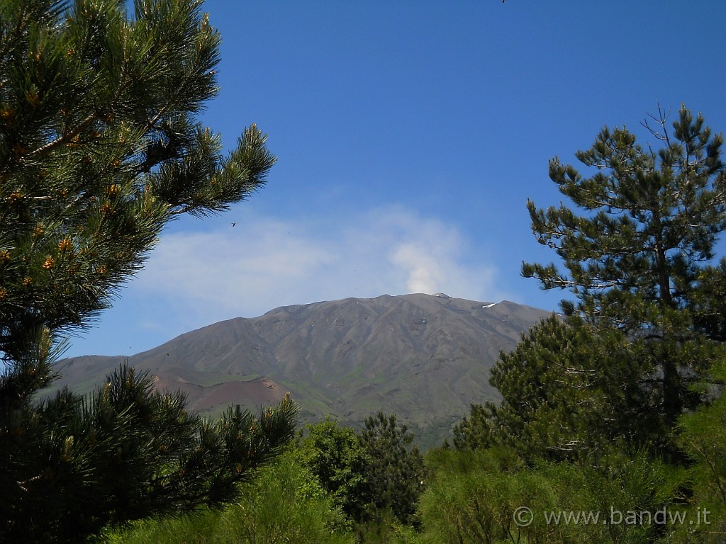 DSCN5222.JPG - Cornice naturale sull'Etna vista da "Primo Monte"