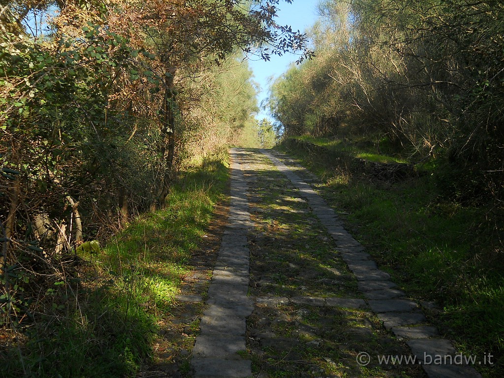 DSCN2144.JPG - La stradina in basolato lavica ripida che mi condurrà sulla colata lavica del 1992