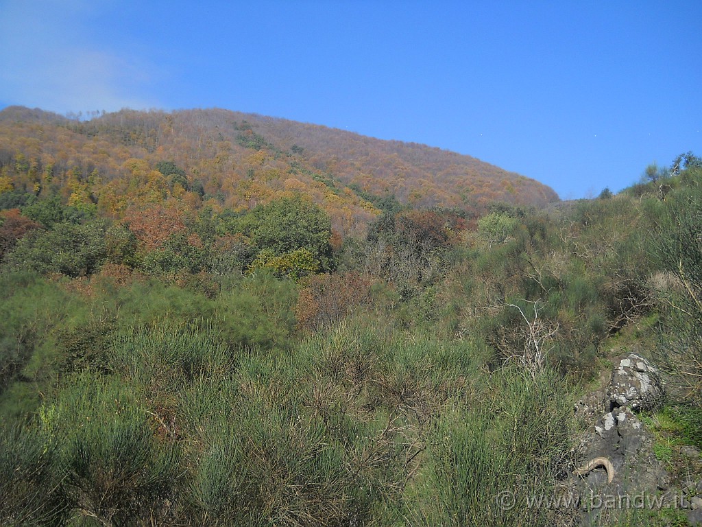 DSCN2146.JPG - Monte Fior di Cosimo alla mia sinistra