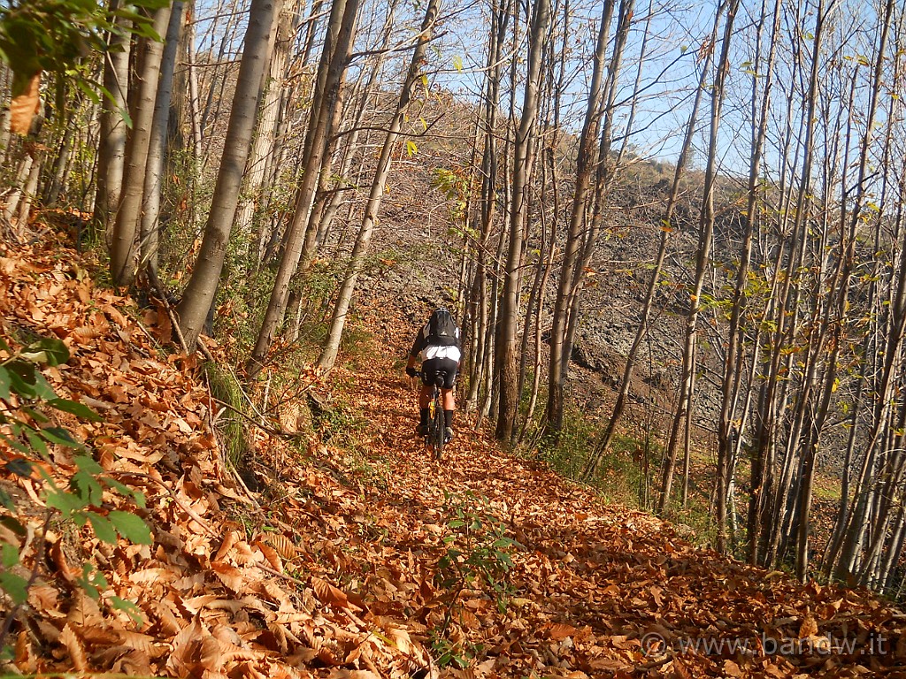 DSCN2151.JPG - ...........  ma poi giro la bici e ritorno sui miei passi, l'itinerario pianificato prevede ancora molte salite