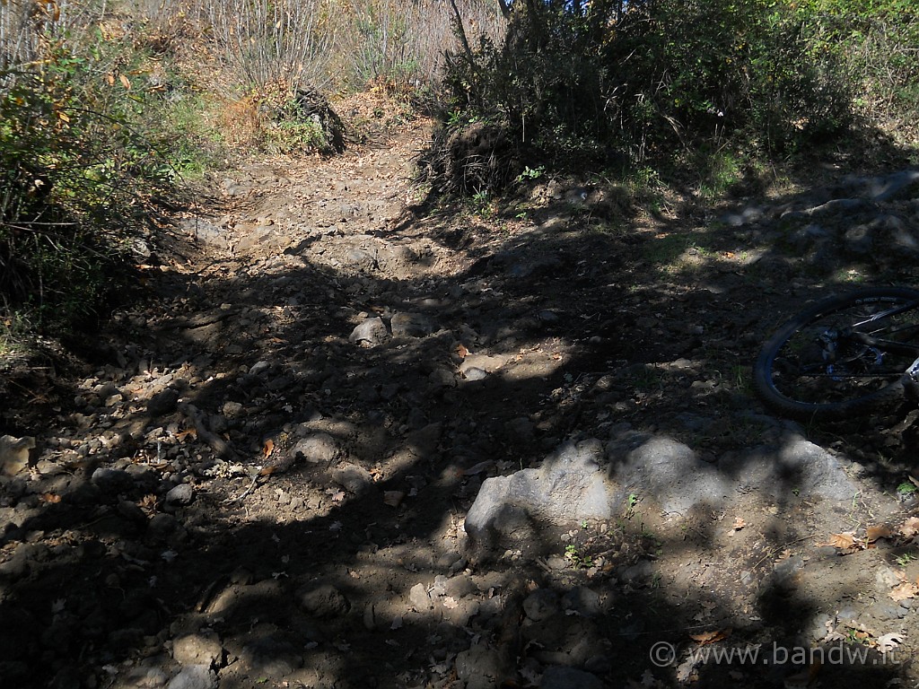 DSCN2166.JPG - Impossibile da percorrere, qui tocca scendere e spingere la bici................... in discesa!!!!!!!