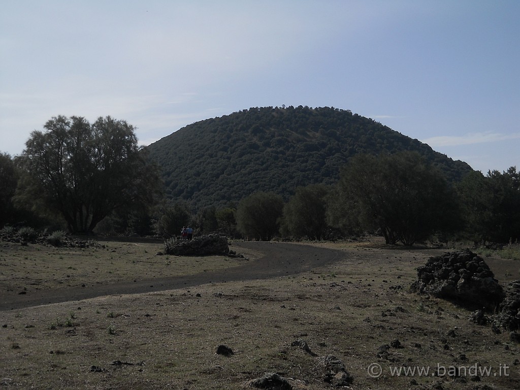 DSCN1569.JPG - Monte Minardo