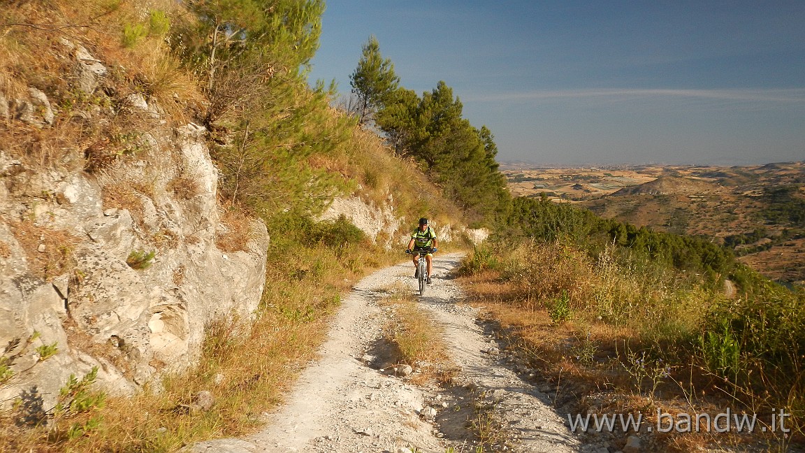 DSCN6493.JPG - Pineta di Chiaramonte Gulfi