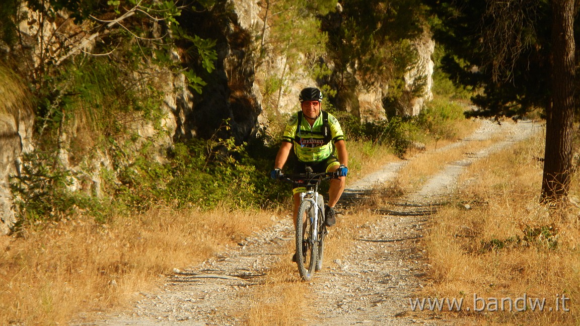 DSCN6496.JPG - Pineta di Chiaramonte Gulfi