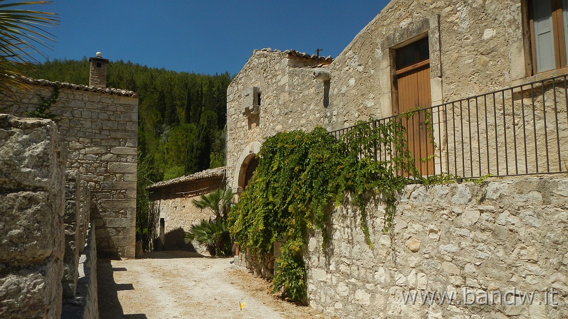 DSCN6534.JPG - Pineta di Chiaramonte Gulfi