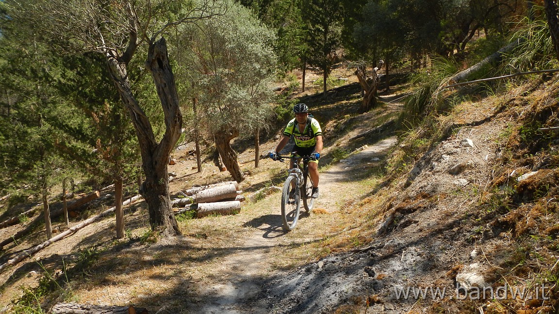 DSCN6535.JPG - Pineta di Chiaramonte Gulfi