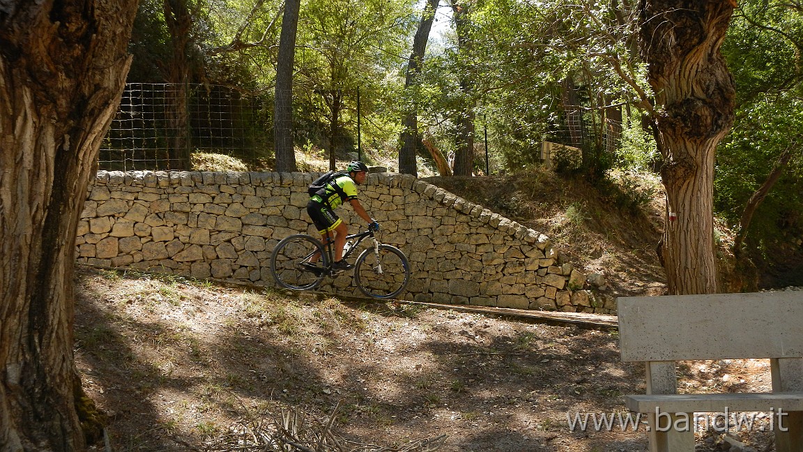 DSCN6538.JPG - Pineta di Chiaramonte Gulfi