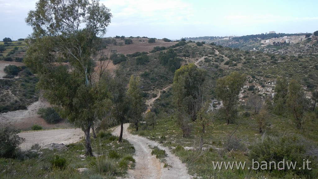 DSCN3081.JPG - Riserva Naturale Orientata Pino d'Aleppo