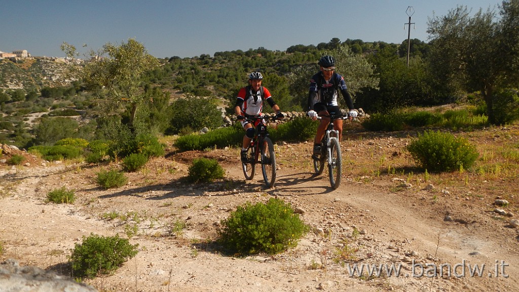 DSCN3111.JPG - Riserva Naturale Orientata Pino d'Aleppo