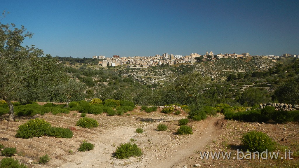 DSCN3112.JPG - Riserva Naturale Orientata Pino d'Aleppo