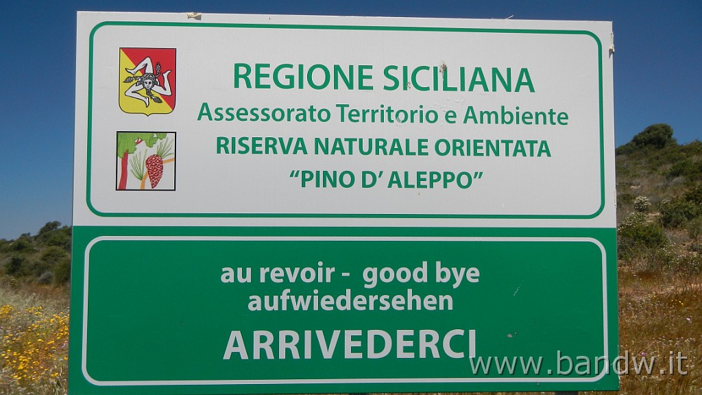 DSCN3153.JPG - Riserva Naturale Orientata Pino d'Aleppo