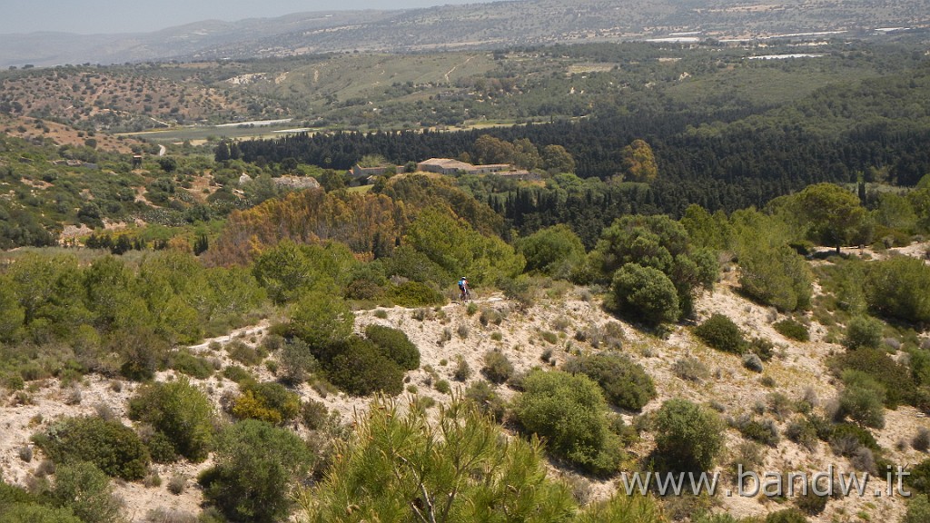 DSCN3160.JPG - Riserva Naturale Orientata Pino d'Aleppo