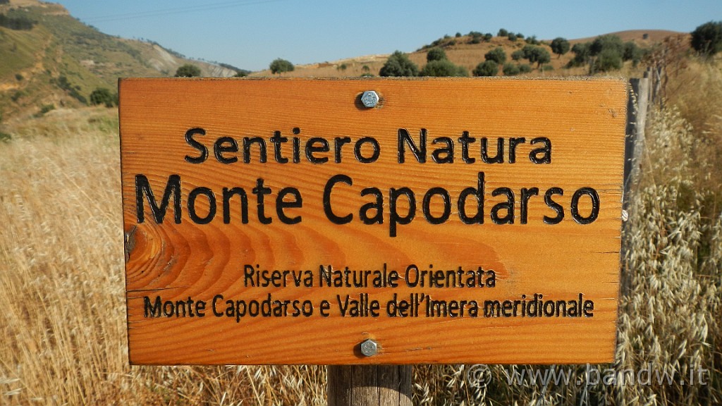 DSCN1112.JPG - Riserva Naturale Orientata di Monte Capodarso e Valle dell'Imera