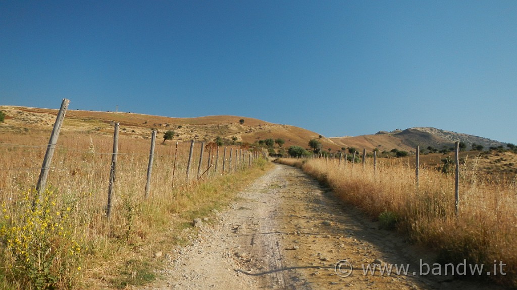 DSCN1113.JPG - Riserva Naturale Orientata di Monte Capodarso e Valle dell'Imera