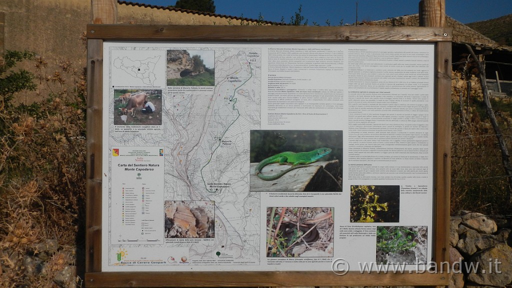 DSCN1114.JPG - Riserva Naturale Orientata di Monte Capodarso e Valle dell'Imera