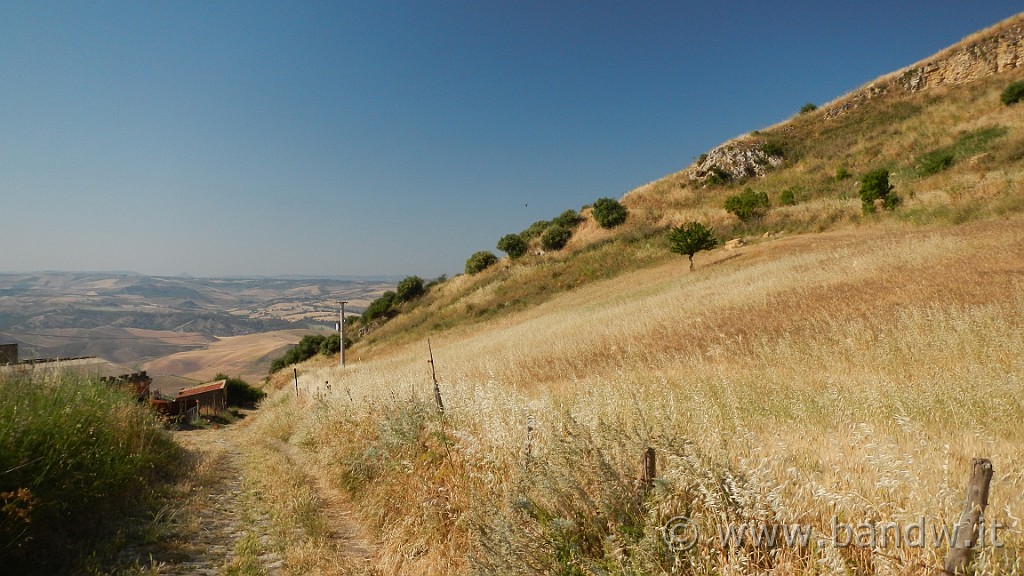 DSCN1115.JPG - Riserva Naturale Orientata di Monte Capodarso e Valle dell'Imera