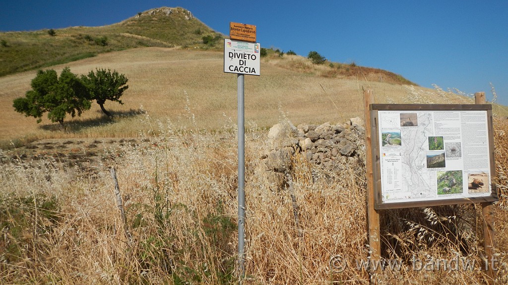 DSCN1116.JPG - Riserva Naturale Orientata di Monte Capodarso e Valle dell'Imera