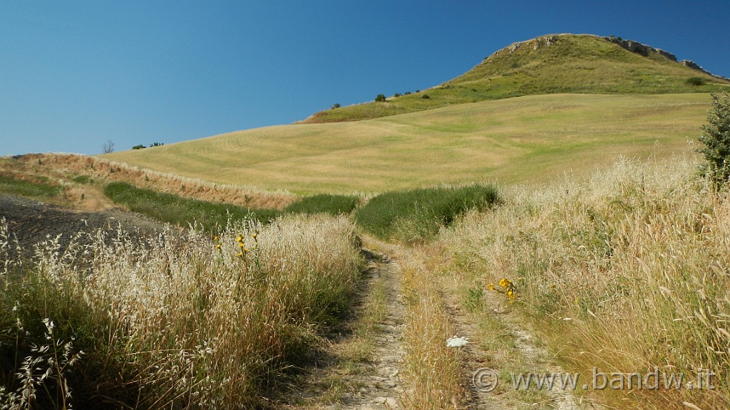 DSCN1120.JPG - Riserva Naturale Orientata di Monte Capodarso e Valle dell'Imera